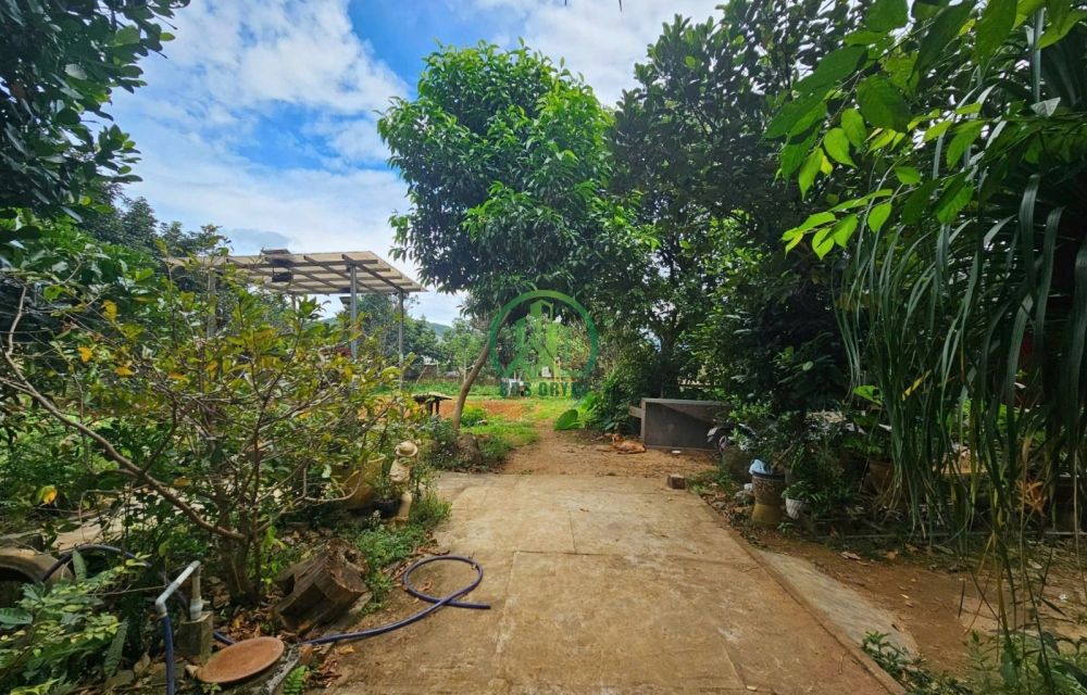 CẦN BÁN LÔ ĐẤT MẶT TIỀN ĐƯỜNG QUỐC LỘ XÃ TÀ NUNG - ĐÀ LẠT