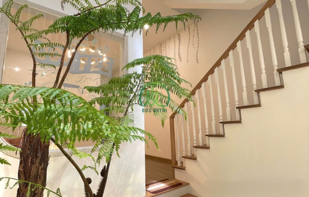 CẦN BÁN CĂM HOMESTAY NGAY GẦN TRUNG TÂM HÀNH CHÍNH - ĐƯỜNG ĐOÀN THỊ ĐIỂM - P4 - TP ĐÀ LẠT 