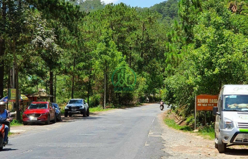CẦN BÁN ĐẤT ĐƯỜNG MIMOSA P10 - ĐÀ LẠT.