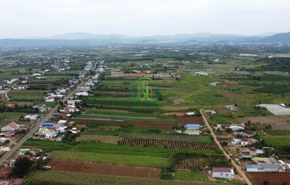 CẦN BÁN 10 LÔ ĐẤT NỀN GIÁ F0 - TÂN HỘI- ĐỨC TRỌNG- LÂM ĐỒNG 