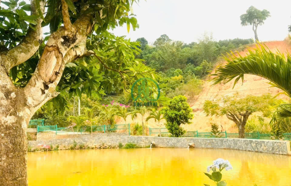 CẦN BÁN KHU VƯỜN NHỎ TÂM HUYẾT NẰM NGAY XÃ MÊ LINH - LÂM HÀ 