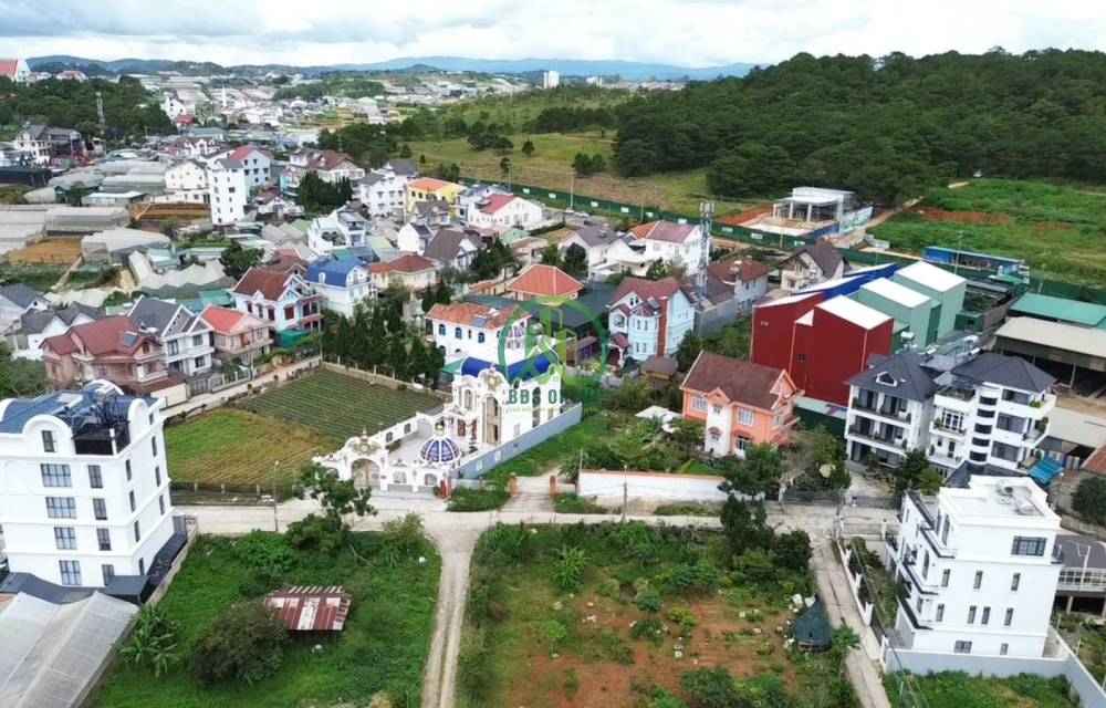     CẦN CHO THUÊ 2 LÔ ĐẤT MẶT TIỀN ĐƯỜNG MAI ANH ĐÀO - P8 - ĐÀ LẠT