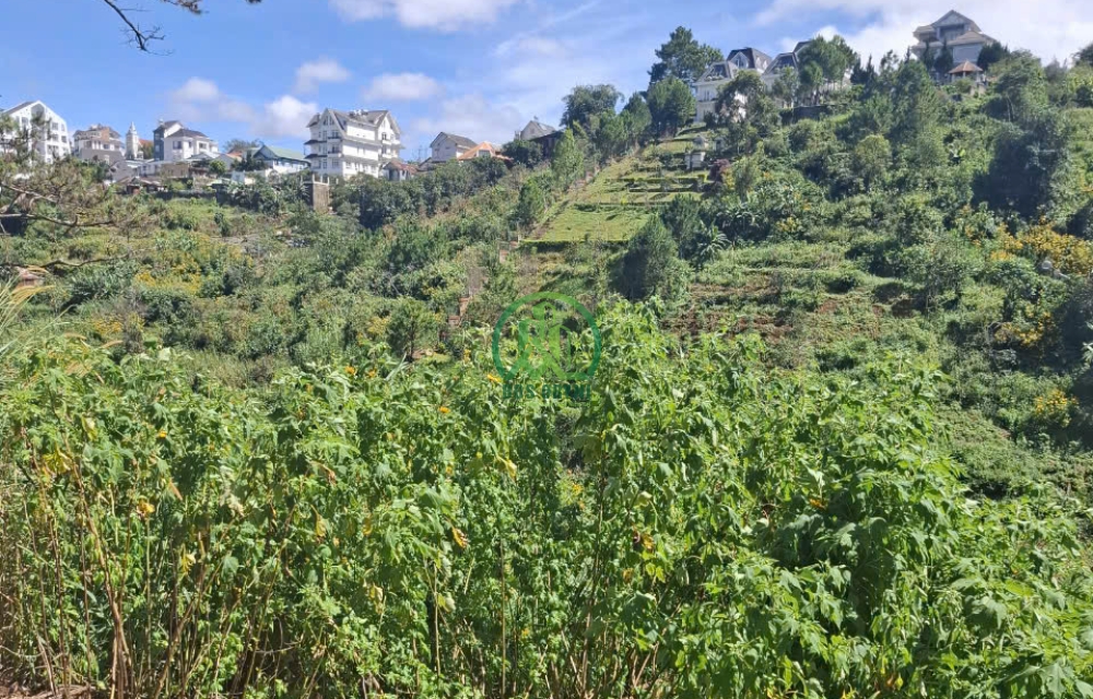 CẦN BÁN LÔ ĐẤT VIEW ĐỒI THÔNG ĐƯỜNG KHE SANH- P10 - ĐÀ LẠT