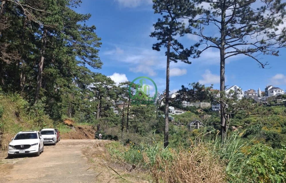 CẦN BÁN LÔ ĐẤT VIEW ĐỒI THÔNG ĐƯỜNG KHE SANH- P10 - ĐÀ LẠT