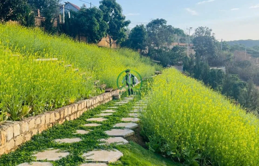 CẦN BÁN 2 LÔ NHÀ ĐẤT VIEW ĐỒI NÚI TUYỆT ĐẸP TÀ NUNG - ĐÀ LẠT
