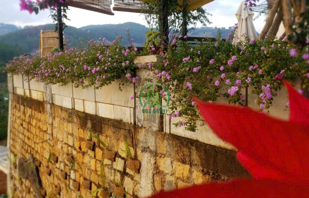 CẦN BÁN 2 LÔ NHÀ ĐẤT VIEW ĐỒI NÚI TUYỆT ĐẸP TÀ NUNG - ĐÀ LẠT
