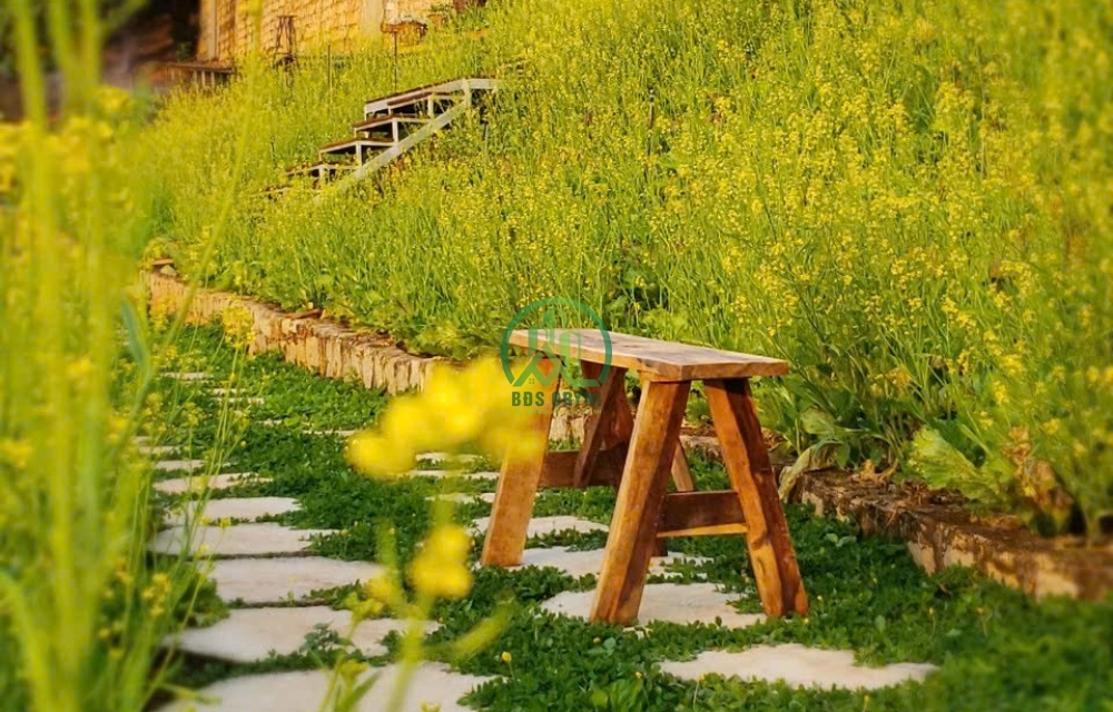 CẦN BÁN 2 LÔ NHÀ ĐẤT VIEW ĐỒI NÚI TUYỆT ĐẸP TÀ NUNG - ĐÀ LẠT
