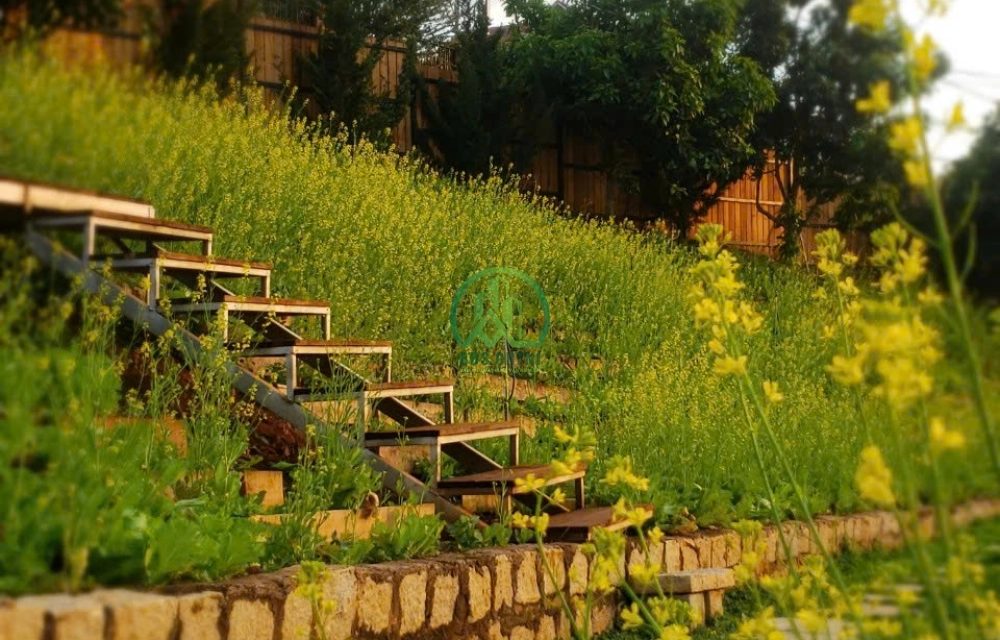 CẦN BÁN 2 LÔ NHÀ ĐẤT VIEW ĐỒI NÚI TUYỆT ĐẸP TÀ NUNG - ĐÀ LẠT