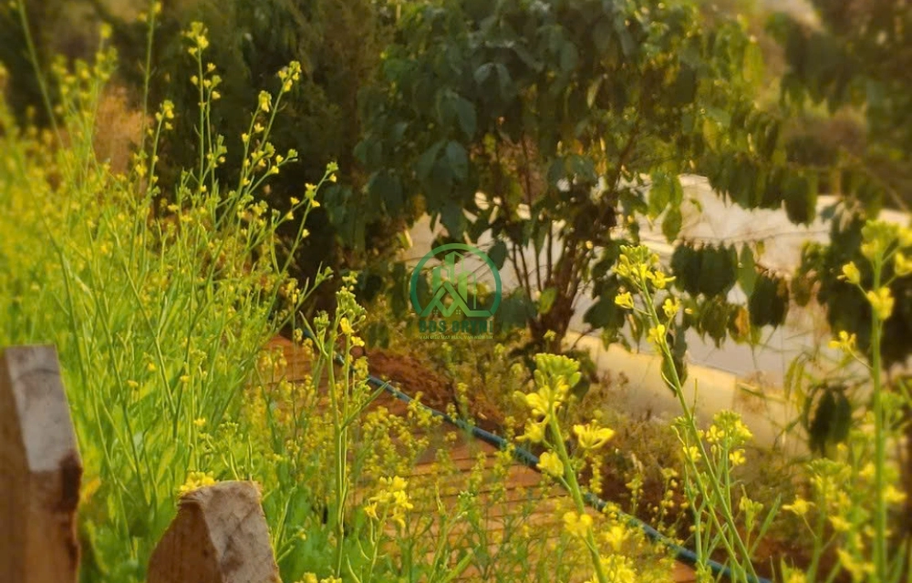 CẦN BÁN 2 LÔ NHÀ ĐẤT VIEW ĐỒI NÚI TUYỆT ĐẸP TÀ NUNG - ĐÀ LẠT