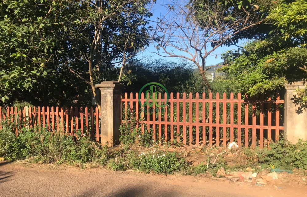 CẦN BÁN ĐẤT TÀ NUNG - TP. ĐÀ LẠT