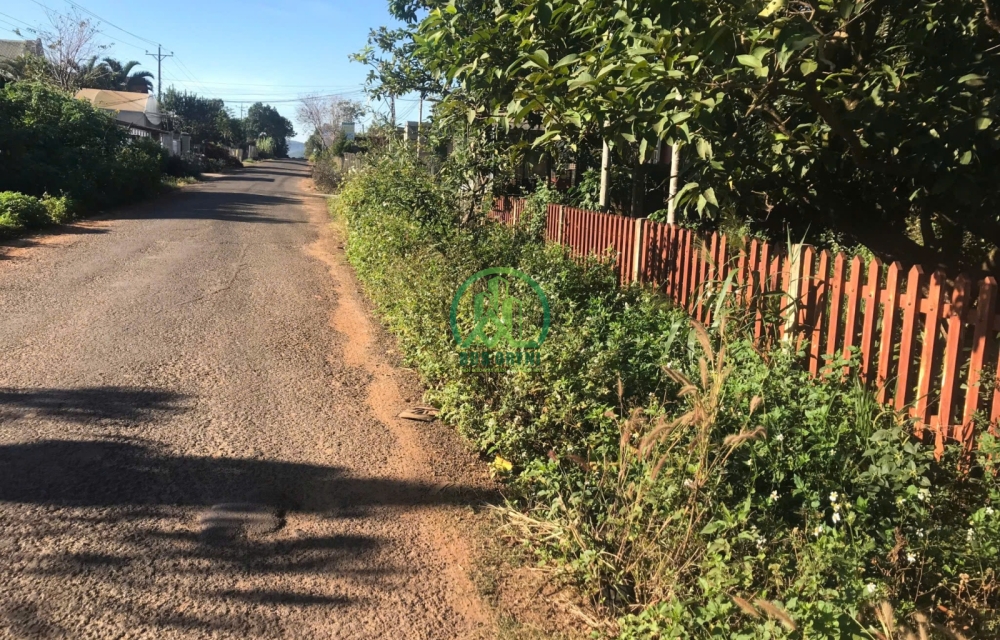 CẦN BÁN ĐẤT TÀ NUNG - TP. ĐÀ LẠT