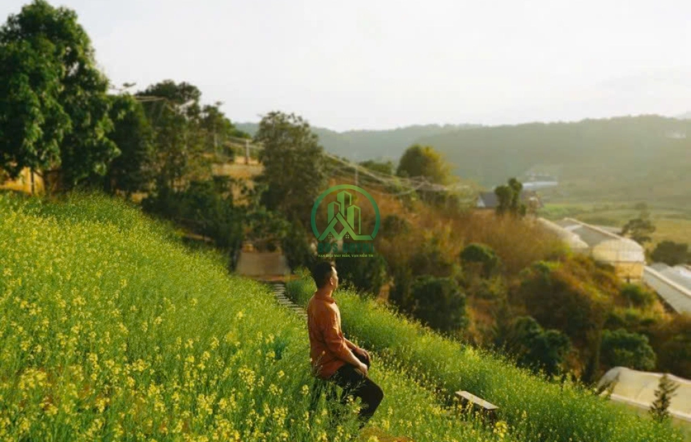 CẦN BÁN 2 LÔ NHÀ ĐẤT VIEW ĐỒI NÚI TUYỆT ĐẸP TÀ NUNG - ĐÀ LẠT