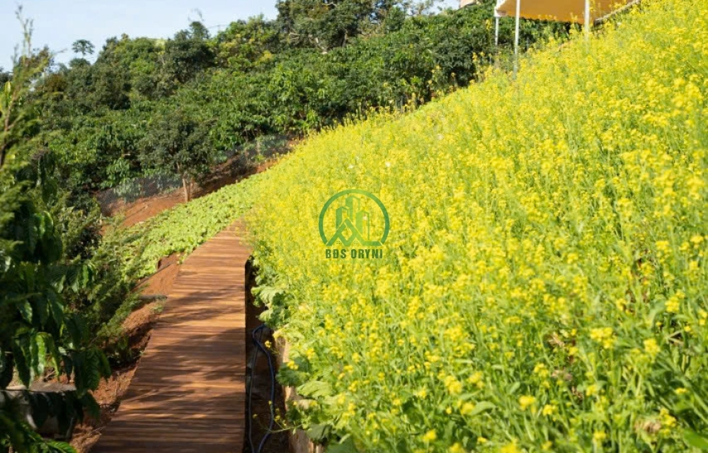 CẦN BÁN 2 LÔ NHÀ ĐẤT VIEW ĐỒI NÚI TUYỆT ĐẸP TÀ NUNG - ĐÀ LẠT