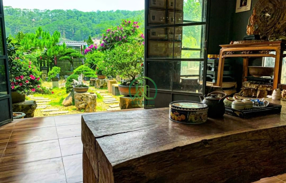 Bán Đất - Hẻm ô tô lớn - Sổ riêng - đường Mimosa, Phường 10, Đà Lạt, đường trước nhà 3 m