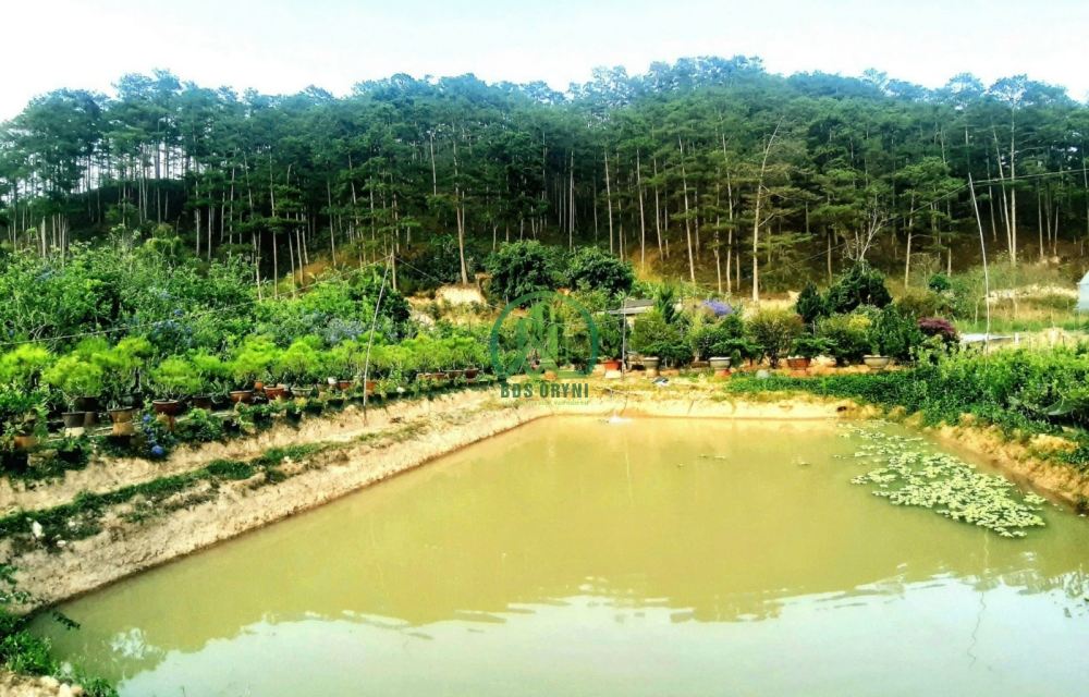 Bán Đất - Hẻm ô tô lớn - Sổ riêng - đường Mimosa, Phường 10, Đà Lạt, đường trước nhà 3 m