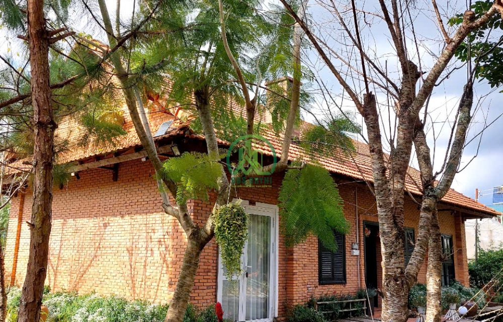 CẦN BÁN HOMESTAY SÂN VƯỜN ĐƯỜNG NGÔ TẤT TỐ-P8-ĐÀ LẠT