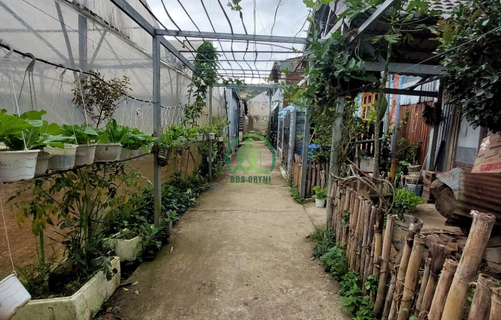 CẦN BÁN NHÀ ĐƯỜNG AN TÔN - P5 - ĐÀ LẠT