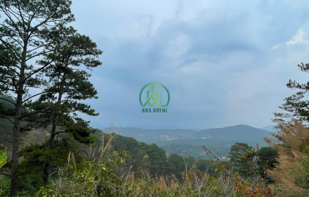 BÁN LÔ ĐẤT 2 MẶT TIỀN 2900M2 XUÂN TRƯỜNG - ĐÀ LẠT. 