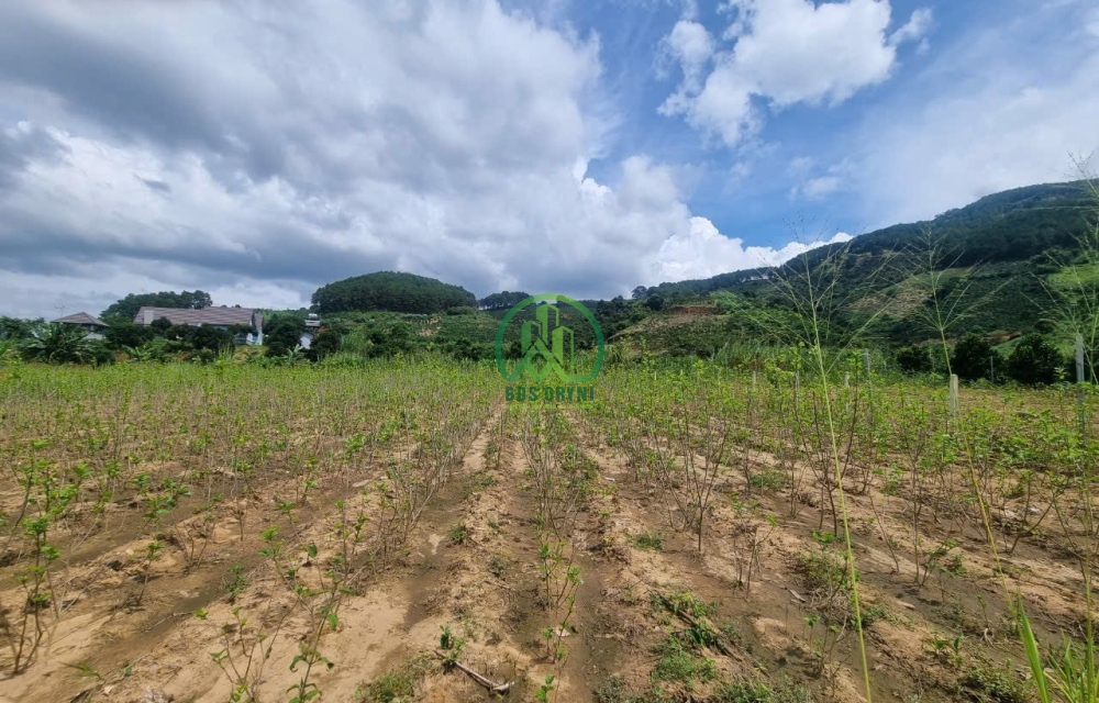 BÁN 3.400M2 ĐẤT MÊ LINH - NAM BAN - LÂM HÀ.