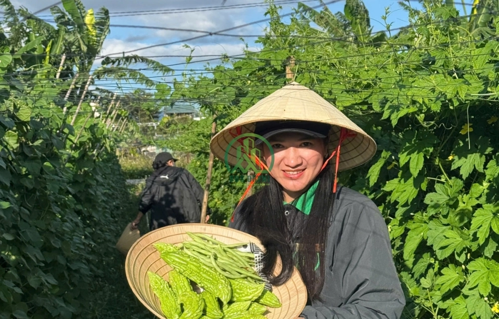 CẦN BÁN LÔ ĐẤT PHÚ HỘI - ĐỨC TRỌNG