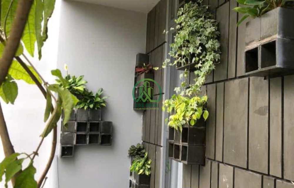 BÁN HOMESTAY ĐƯỜNG MAI HẮC ĐẾ - P6 - ĐÀ LẠT