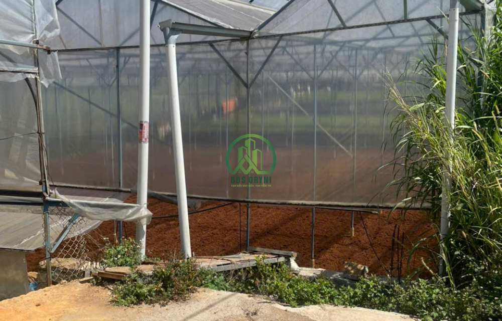 BÁN GẤP ĐẤT ĐƯỜNG HẺM LÝ NAM ĐẾ - P8 - ĐÀ LẠT