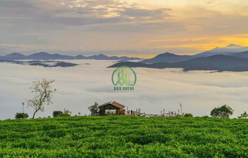 CẦN BÁN 600m2 ĐẤT NÔNG NGHIỆP SỔ RIÊNG VIEW ĐẸP. ĐA PHÚ P7 ĐÀ LẠT
