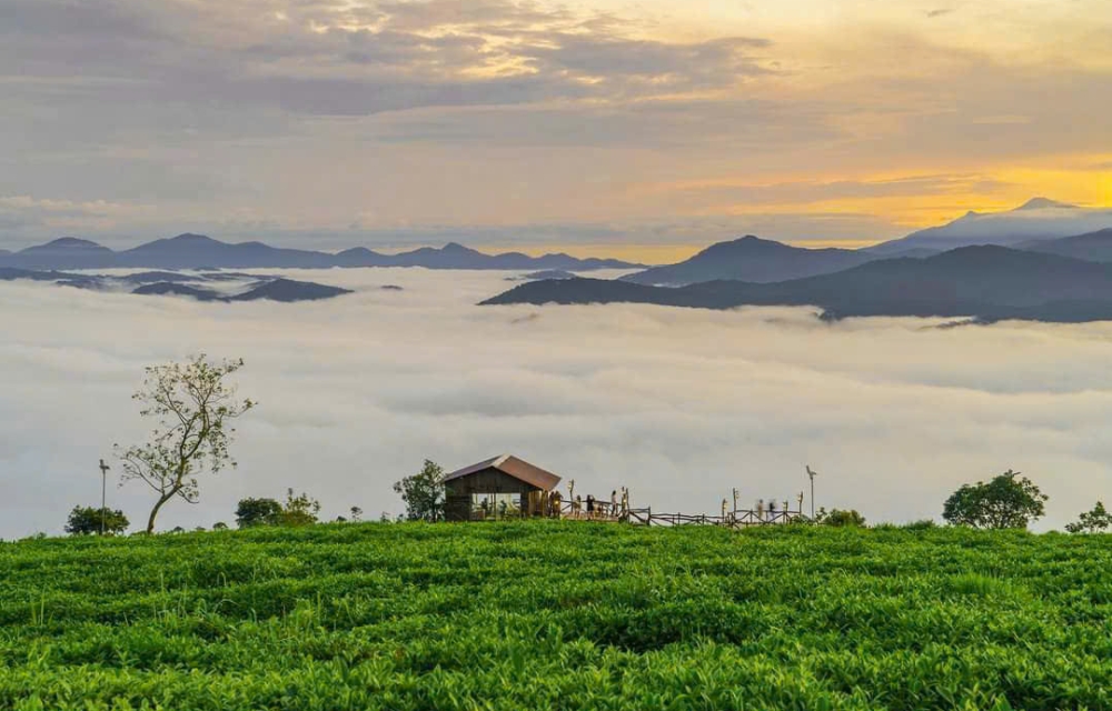 CẦN BÁN 600m2 ĐẤT NÔNG NGHIỆP SỔ RIÊNG VIEW ĐẸP. ĐA PHÚ P7 ĐÀ LẠT