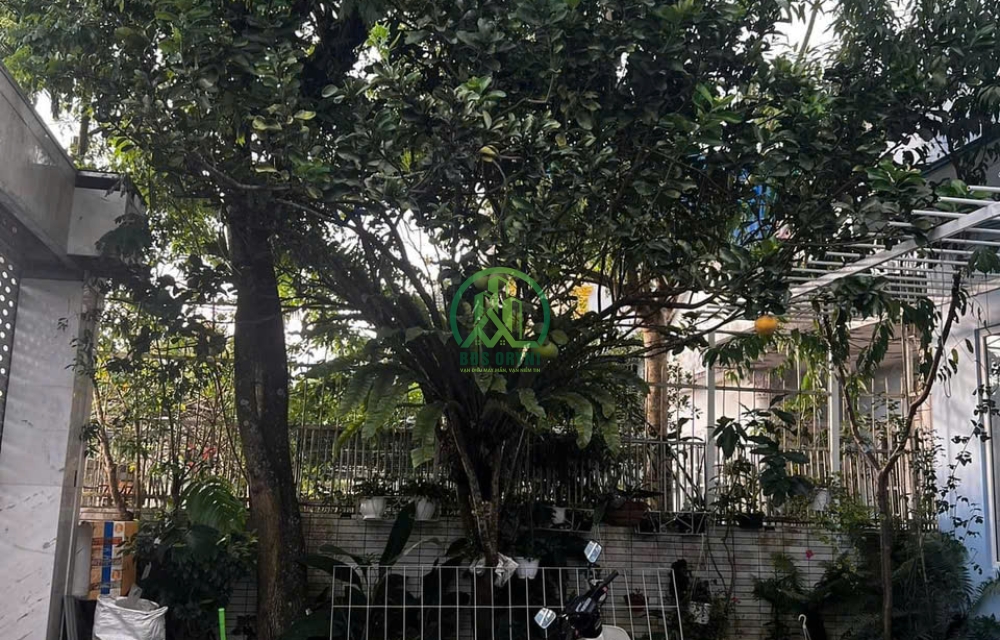 CẦN BÁN GẤP VILLA ĐƯỜNG 3/4 - P3 - ĐÀ LẠT