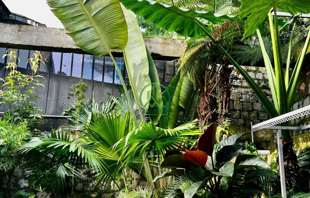 CẦN BÁN GẤP VILLA ĐƯỜNG 3/4 - P3 - ĐÀ LẠT