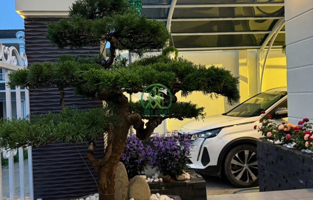 CẦN BÁN VILLA  ĐƯỜNG TRẦN ĐẠI NGHĨA, PHƯỜNG 8, TP. ĐÀ LẠT