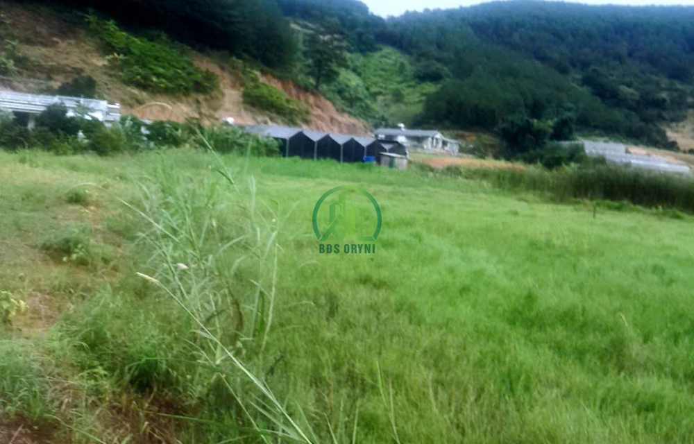 BÁN LÔ ĐẤT 1000M2 XÃ TÀ NUNG - ĐÀ LẠT.