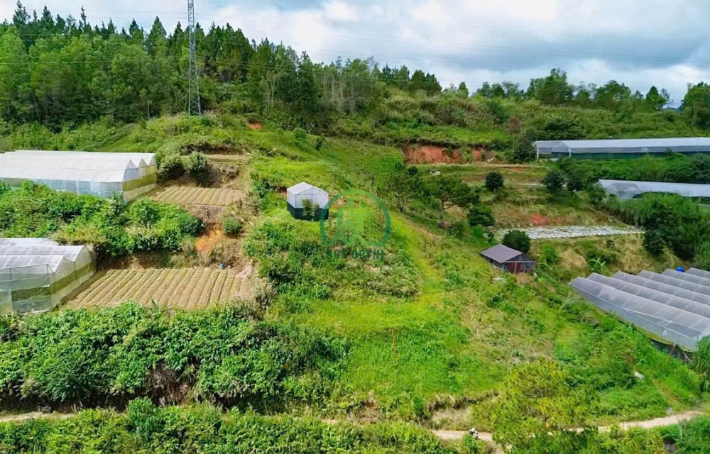 CẦN BÁN ĐẤT 2 MẶT TIỀN PHƯỚC THÀNH, PHƯỜNG 7, ĐÀ LẠT