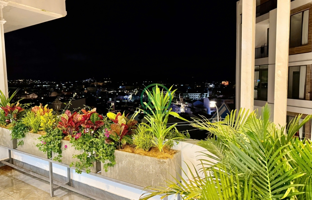 NHÀ MỚI ĐÓN TẾT - ĐƯỜNG CHÍNH CỔ LOA - P2 - TP ĐÀ LẠT