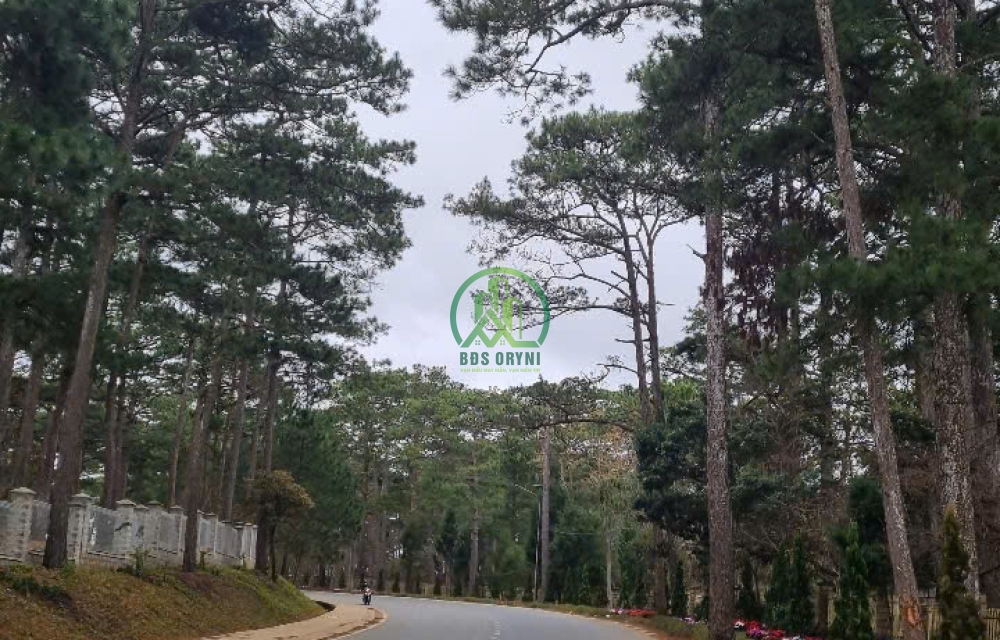 CẦN BÁN ĐẤT NÔNG NGHIỆP ĐƯỜNG NGUYỄN HỮU CẦU- P12- ĐÀ LẠT