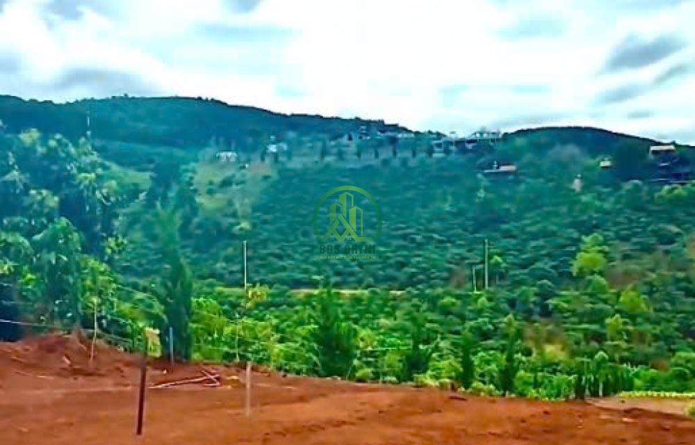 BÁN LÔ ĐẤT 2554M2 XÃ TÀ NUNG - ĐÀ LẠT.