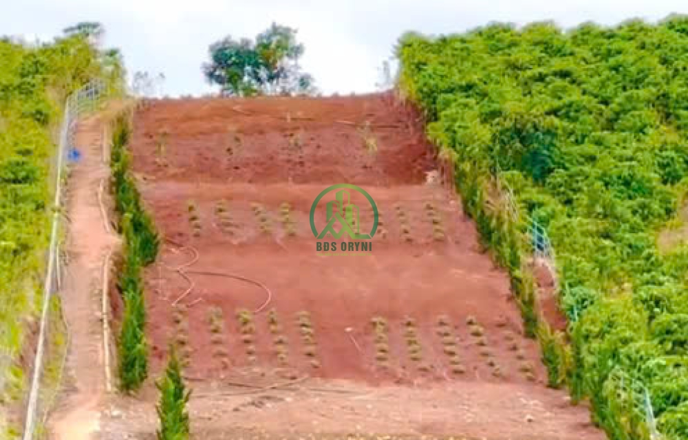 BÁN LÔ ĐẤT 2554M2 XÃ TÀ NUNG - ĐÀ LẠT.