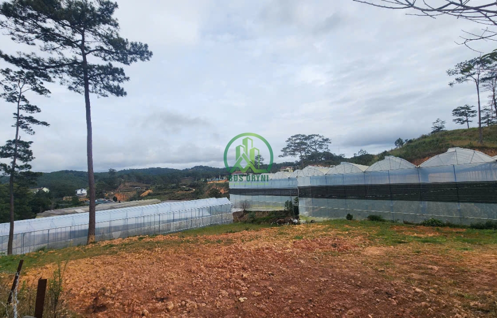  CẦN BÁN 6000M2 ĐẤT PĂNG TIÊNG - XÃ LÁT, LẠC DƯƠNG, LÂM ĐỒNG