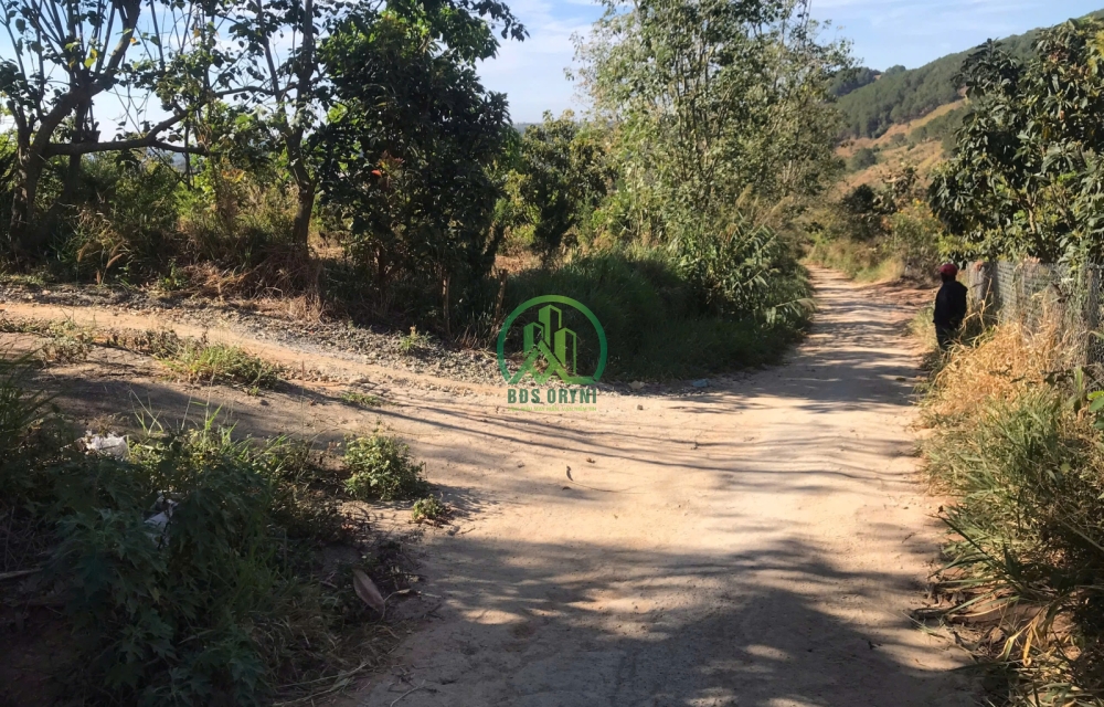 CẦN BÁN 3900M2 ĐẤT XÃ TÀ NUNG, TP. ĐÀ LẠT