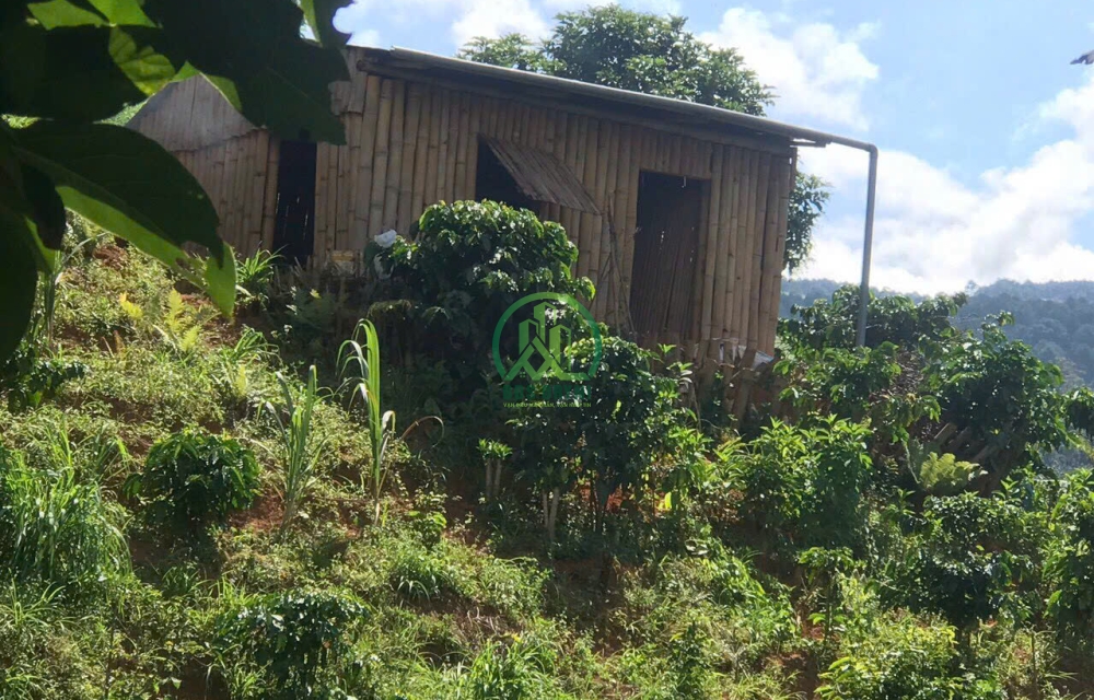 CẦN BÁN 3900M2 ĐẤT XÃ TÀ NUNG, TP. ĐÀ LẠT