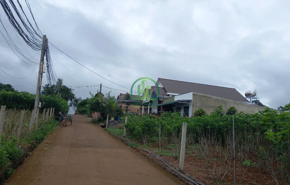 BÁN LÔ ĐẤT 292M2 XÃ BÌNH THẠNH - ĐỨC TRỌNG.