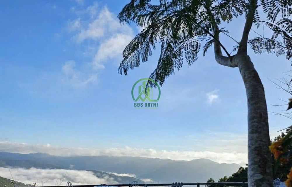 CẦN BÁN ĐẤT TẶNG 2 CĂN NHÀ GỖ SIÊU ĐẸP THÔN XUÂN THÀNH- XUÂN THỌ- ĐÀ LẠT