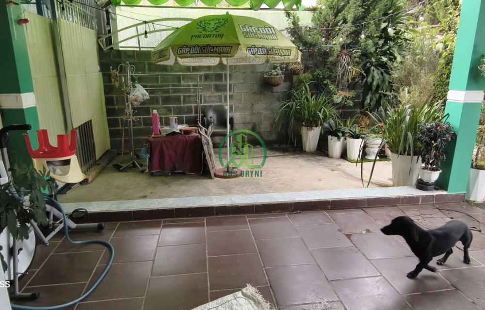 BÁN BIỆT THỰ 418M2 MẶT TIỀN MAI XUÂN THƯỞNG - P8 - ĐÀ LẠT.