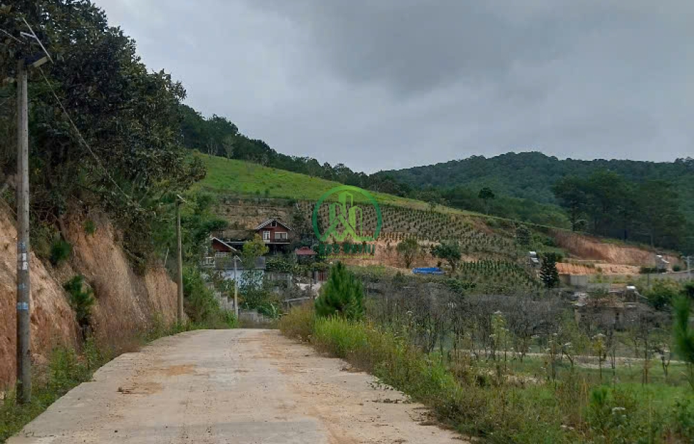 BÁN ĐẤT HIỆP AN - ĐỨC TRỌNG - LÂM ĐỒNG