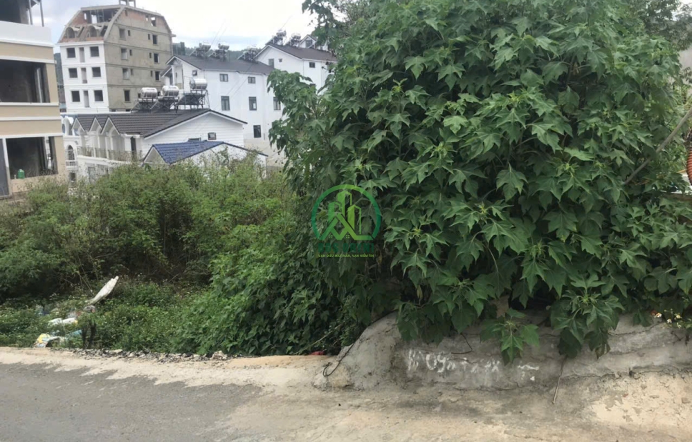 CẦN BÁN LÔ ĐẤT  3 MẶT TIỀN ĐƯỜNG NGUYỄN ĐÌNH QUÂN- P5- ĐÀ LẠT 