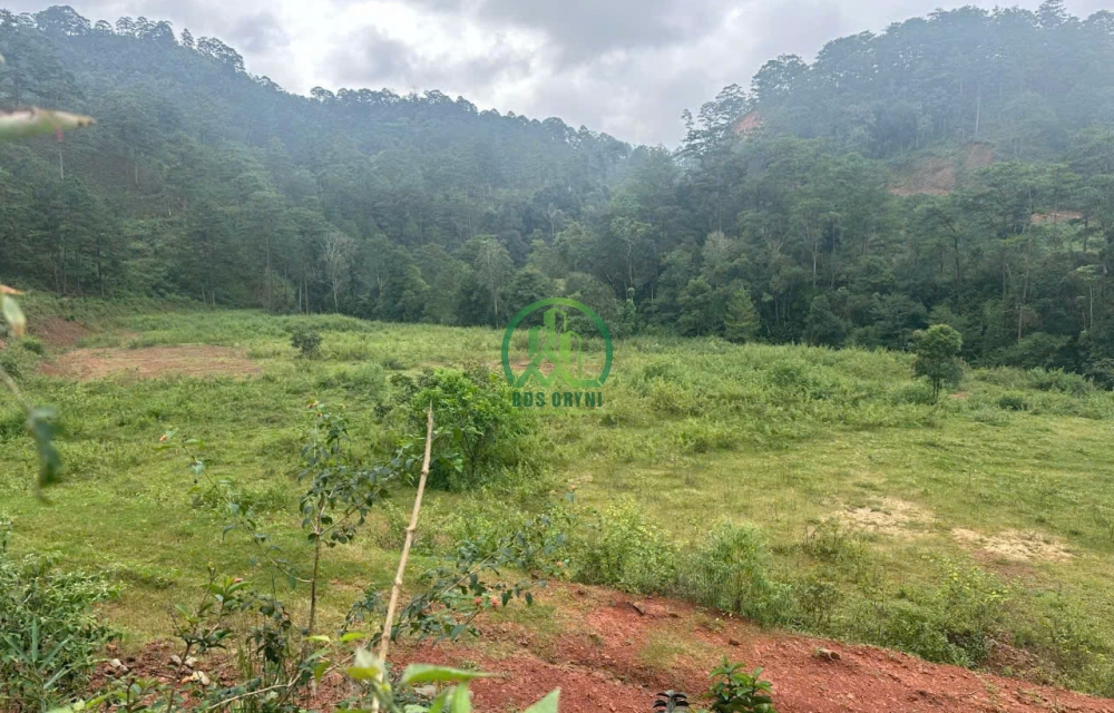  CẦN BÁN ĐẤT ĐẠ NGHỊT, XÃ LÁT, LẠC DƯƠNG, LÂM ĐỒNG