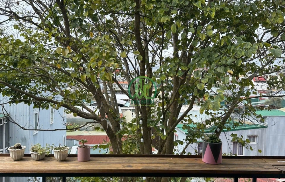 CẦN SANG NHƯỢNG QUÁN CAFE PHƯỜNG 8 - ĐÀ LẠT