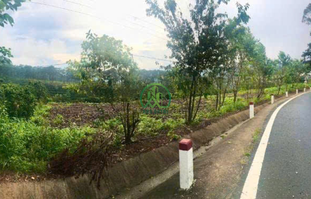 CẦN BÁN 1,1 Ha ĐẤT XÃ  XUÂN TRƯỜNG, TP. ĐÀ LẠT, LÂM ĐỒNG