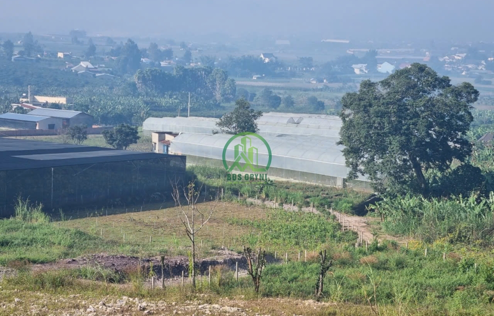 CẦN BÁN ĐẤT XÃ N