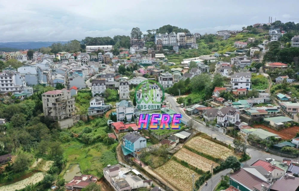 CẦN BÁN ĐẤT BIỆT THỰ MẶT TIỀN TÔ HIẾN THÀNH, PHƯỜNG 3- ĐÀ LẠT